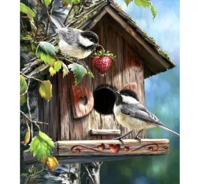Birdhouse Diamond Painting Kit, 2 Birds Diamond Art
