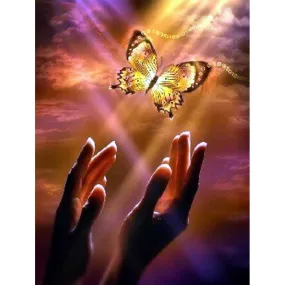 Butterfly Release Diamond Painting Kit | Full Square/Full Round 5D Rhinestones | Animal Diamond Cross Stitch