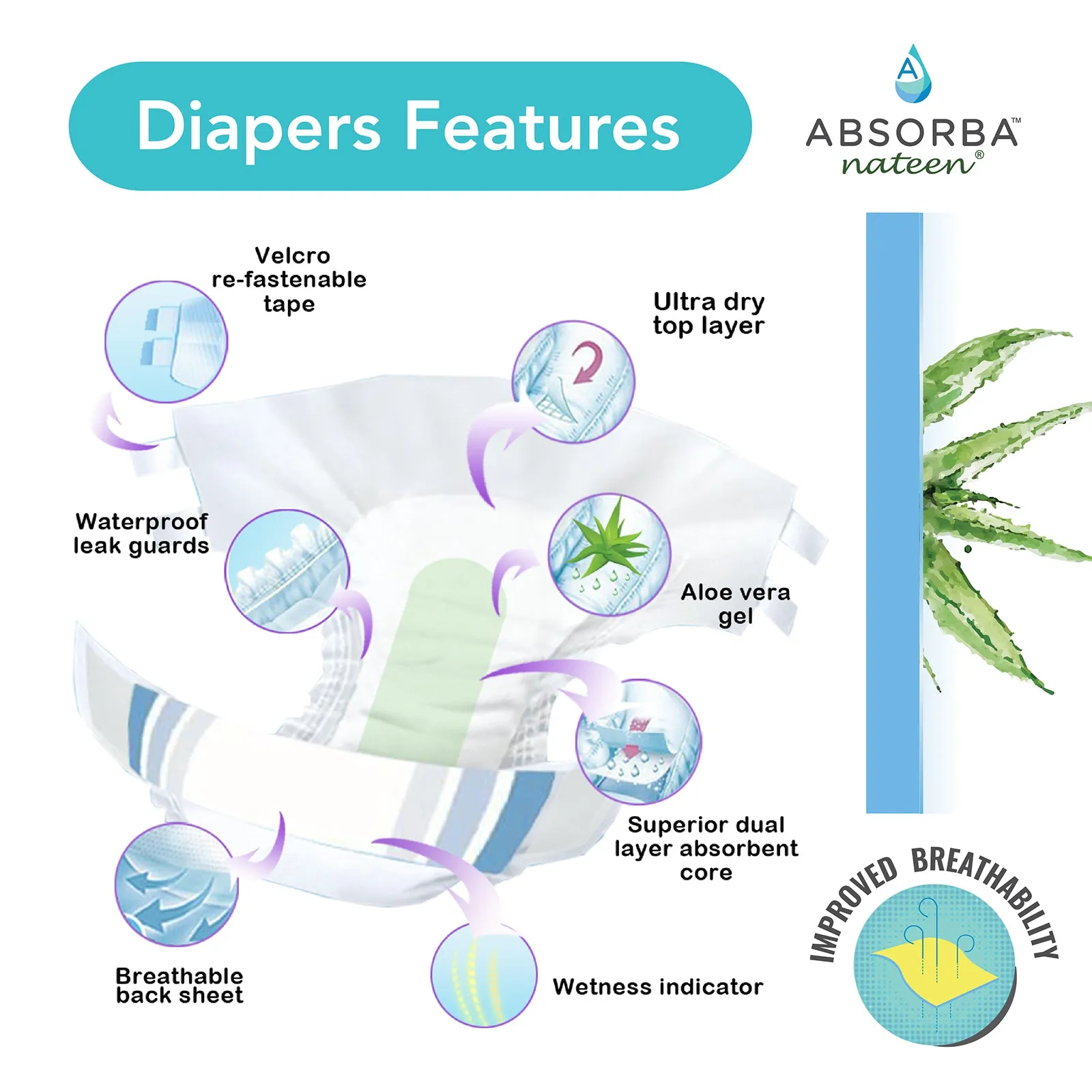 Nateen Plus Adult Diapers 10s (Carton of 8) - L