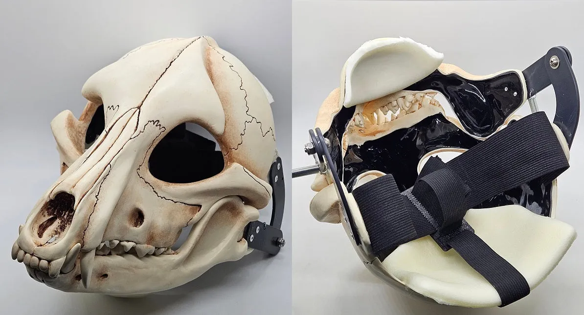 Skeletal K9 Cut and Hinged Mask