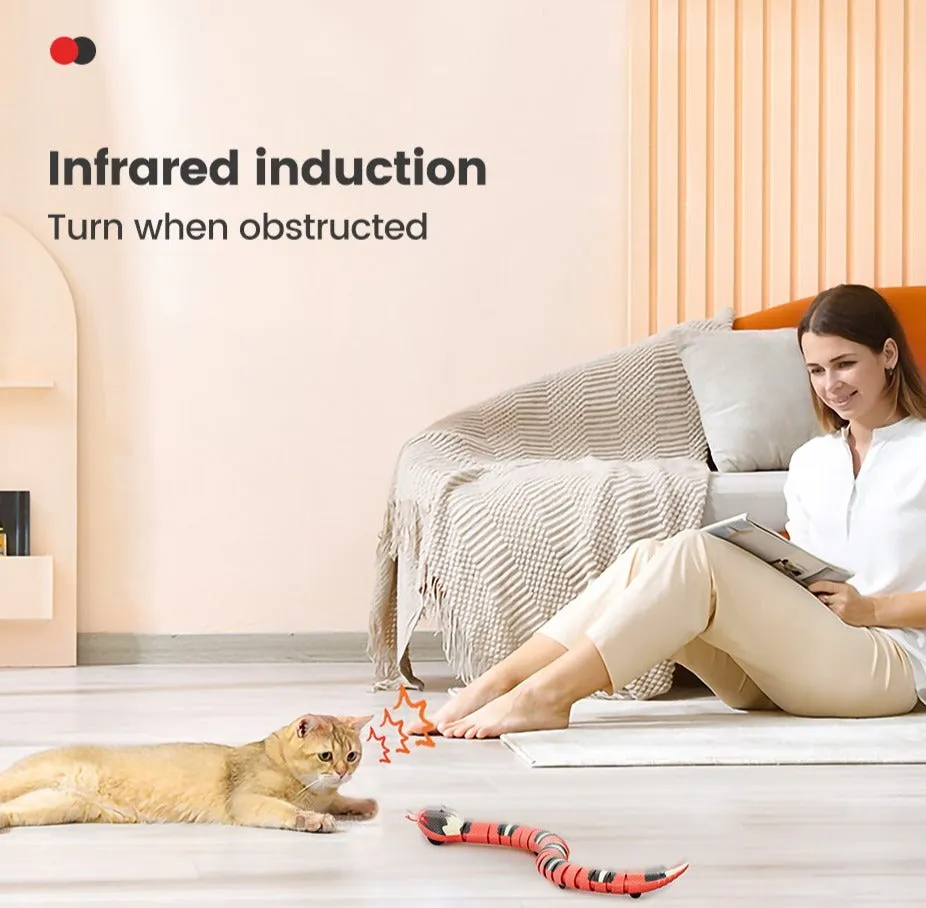 Smart Sensing Snake Cat Toy