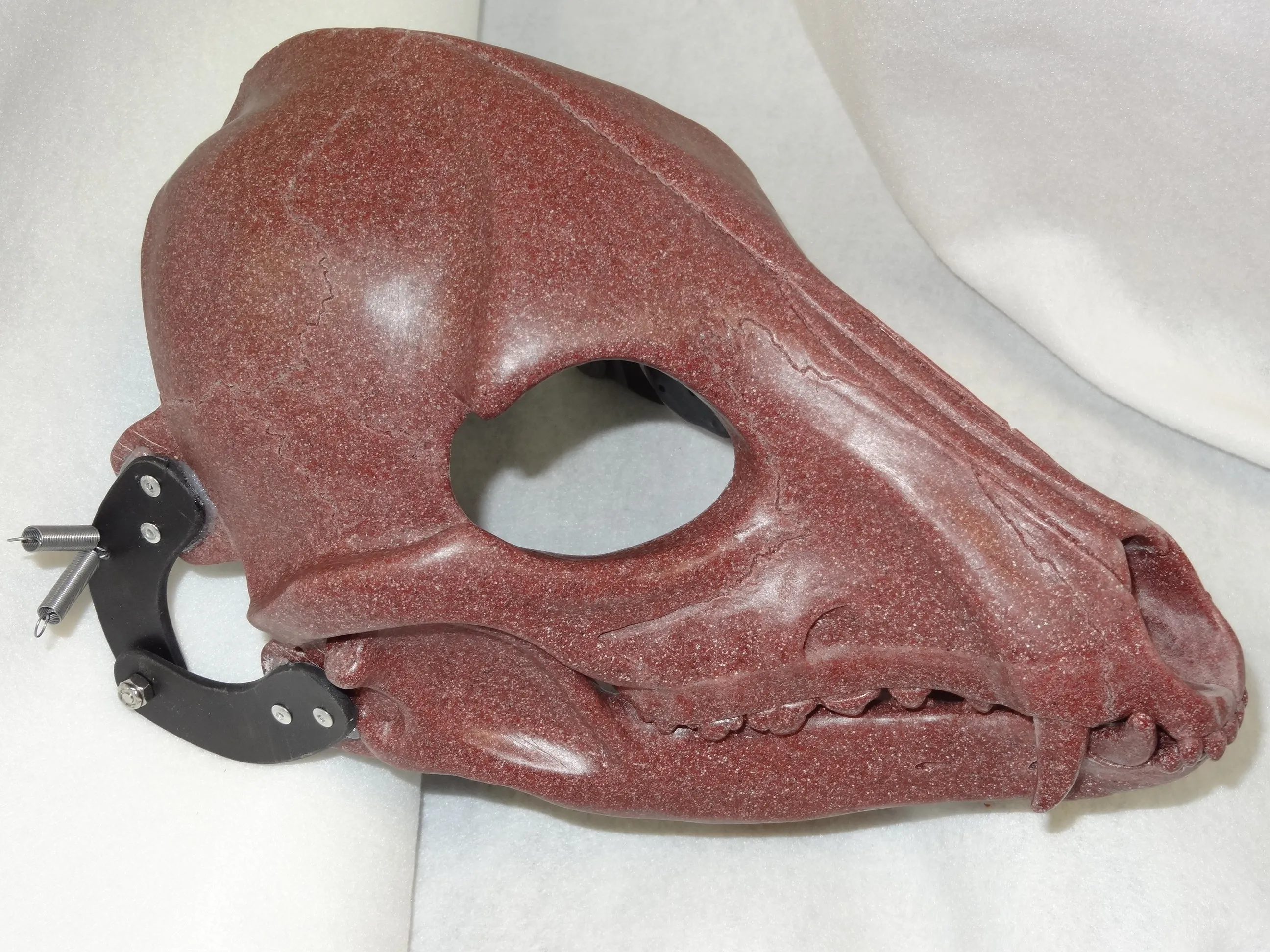 Specialty Cut and Hinged Skeletal K9 Resin Mask Blank