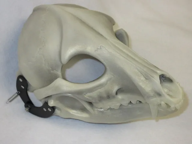 Specialty Cut and Hinged Skeletal K9 Resin Mask Blank